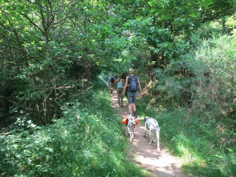 Monrealer Ritterschlag (Gegenrichtung)