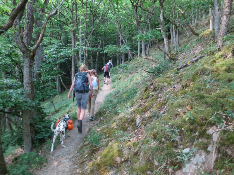 Monrealer Ritterschlag (Gegenrichtung)