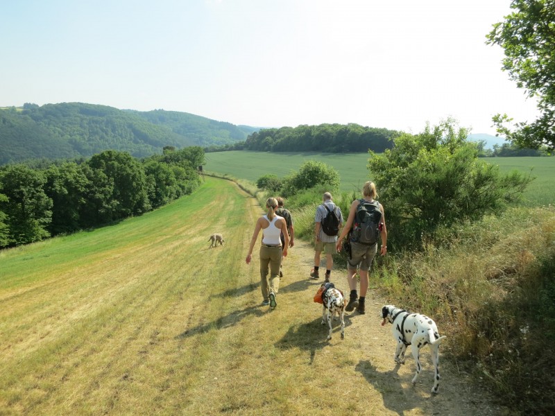 Monrealer Ritterschlag (Gegenrichtung)