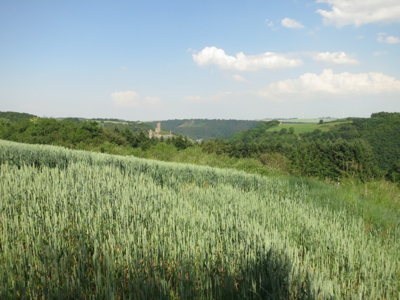 Monrealer Ritterschlag (Gegenrichtung)