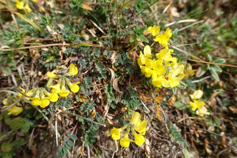 Monte Cadria �berschreitung