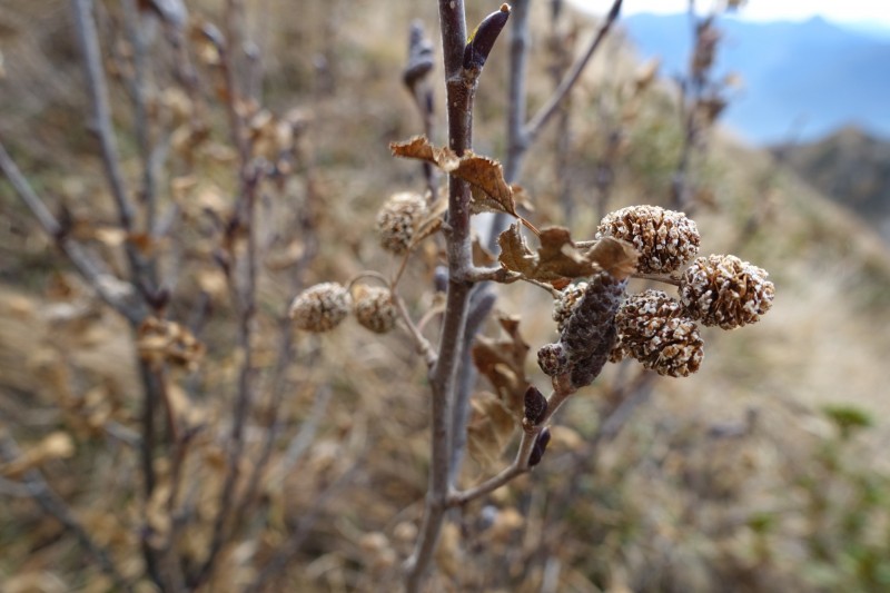 Monte Cadria �berschreitung