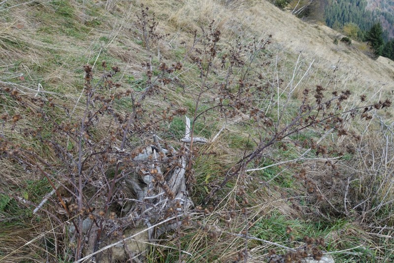 Monte Cadria �berschreitung