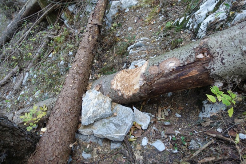 Monte Cadria �berschreitung