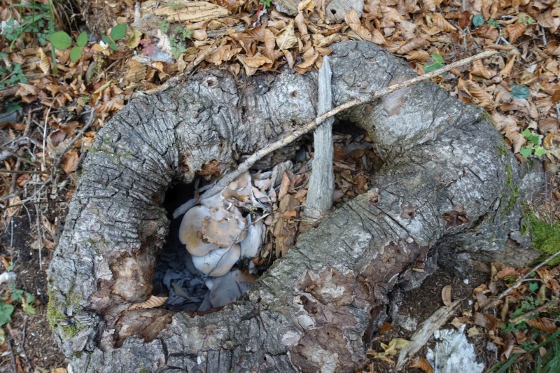 Monte Cadria �berschreitung