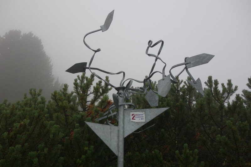 Neue Bielefelder Htte - Achplatte - Lauser - Niederreichscharte - Hochreichscharte - Hochreichkopf - Schweinfurter Htte