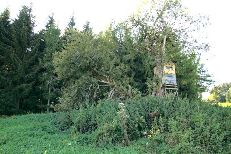 Oberdigisheimer Stausee