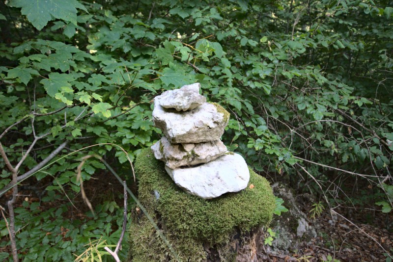 Oberdigisheimer Stausee