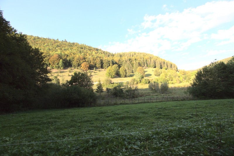 Oberdigisheimer Stausee