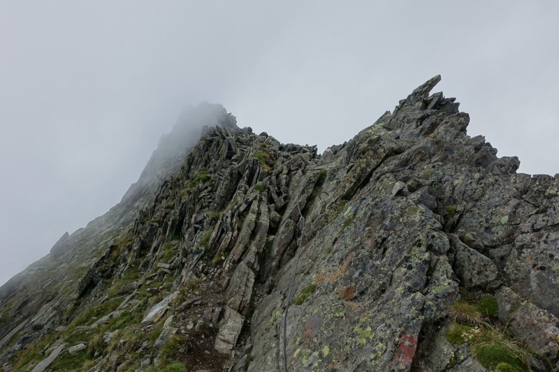 Oberissalm - Franz-Senn-H�tte - Rinnenspitze - Rinnensee - Franz-Senn-H�tte - Oberissalm