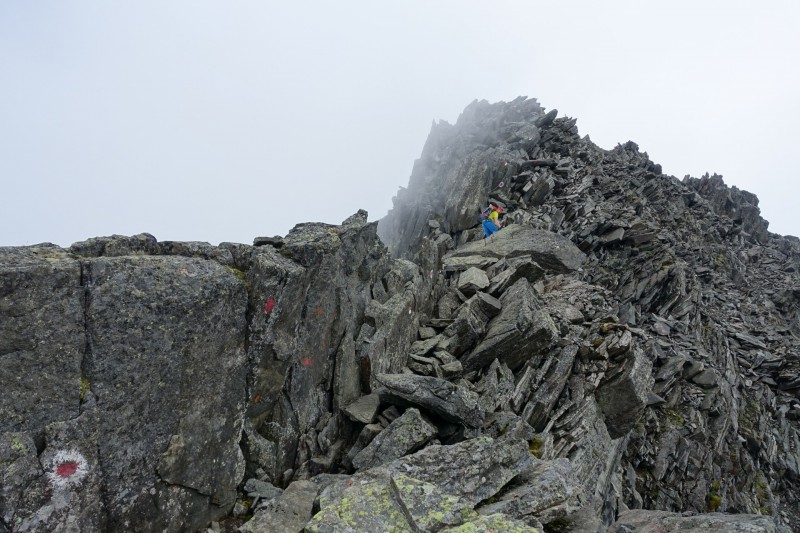 Oberissalm - Franz-Senn-H�tte - Rinnenspitze - Rinnensee - Franz-Senn-H�tte - Oberissalm