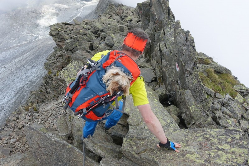 Oberissalm - Franz-Senn-H�tte - Rinnenspitze - Rinnensee - Franz-Senn-H�tte - Oberissalm