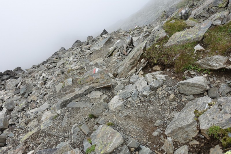 Oberissalm - Franz-Senn-H�tte - Rinnenspitze - Rinnensee - Franz-Senn-H�tte - Oberissalm