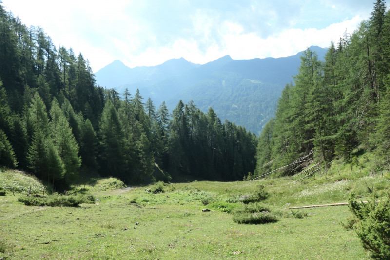 Obermauern - Gottschaunalm - Stotzkopf - Bonn-Matreier Htte