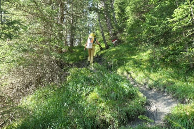 Obermauern - Gottschaunalm - Stotzkopf - Bonn-Matreier Htte