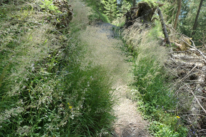 Obermauern - Gottschaunalm - Stotzkopf - Bonn-Matreier Htte
