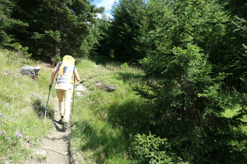 Obermauern - Gottschaunalm - Stotzkopf - Bonn-Matreier Htte