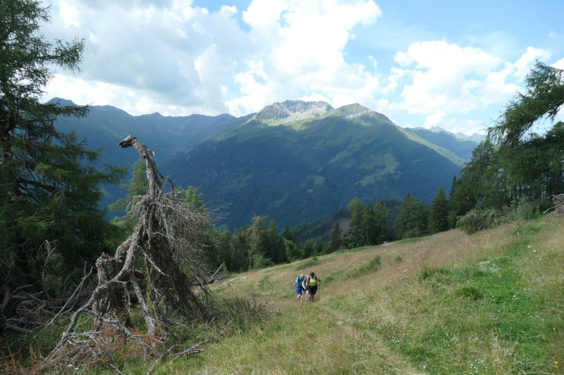 Obermauern - Gottschaunalm - Stotzkopf - Bonn-Matreier Htte