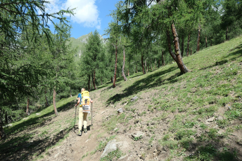 Obermauern - Gottschaunalm - Stotzkopf - Bonn-Matreier Htte