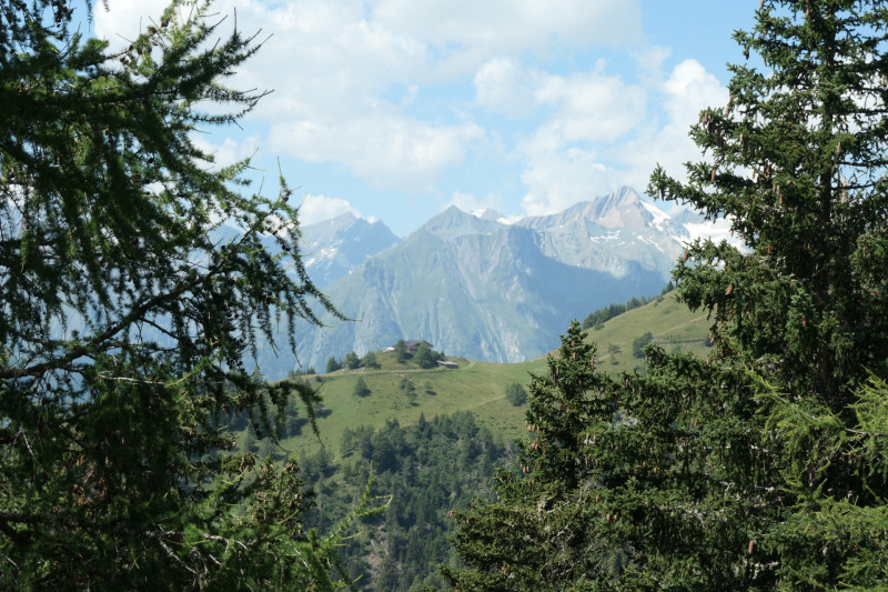 Obermauern - Gottschaunalm - Stotzkopf - Bonn-Matreier Htte