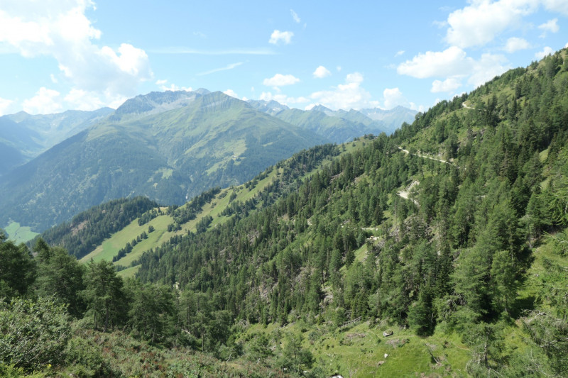 Obermauern - Gottschaunalm - Stotzkopf - Bonn-Matreier Htte
