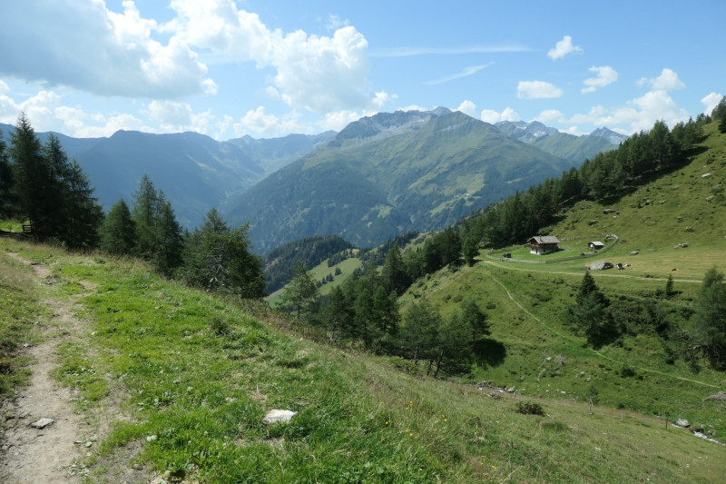 Obermauern - Gottschaunalm - Stotzkopf - Bonn-Matreier Htte