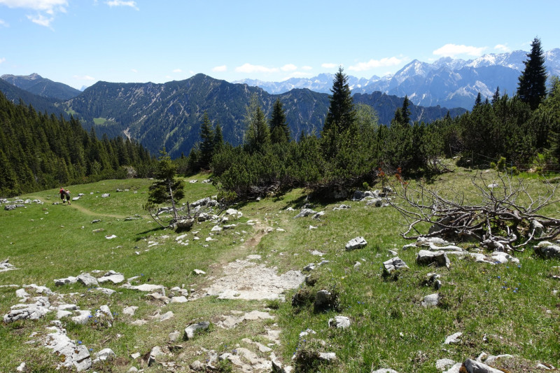 Ochsenhütte - Historischer Grenzstein - Frieder - Friederspitz - Lausbichl - Scharfeck
