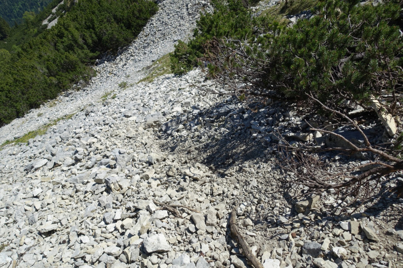 Ochsenhütte - Historischer Grenzstein - Frieder - Friederspitz - Lausbichl - Scharfeck