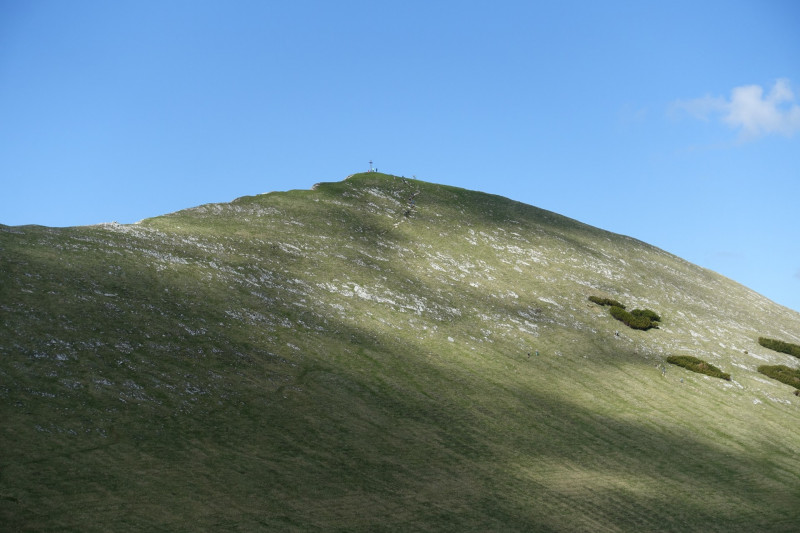 Ochsenhütte - Historischer Grenzstein - Frieder - Friederspitz - Lausbichl - Scharfeck