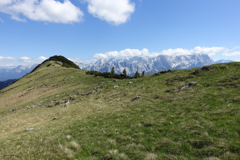 Ochsenhütte - Historischer Grenzstein - Frieder - Friederspitz - Lausbichl - Scharfeck