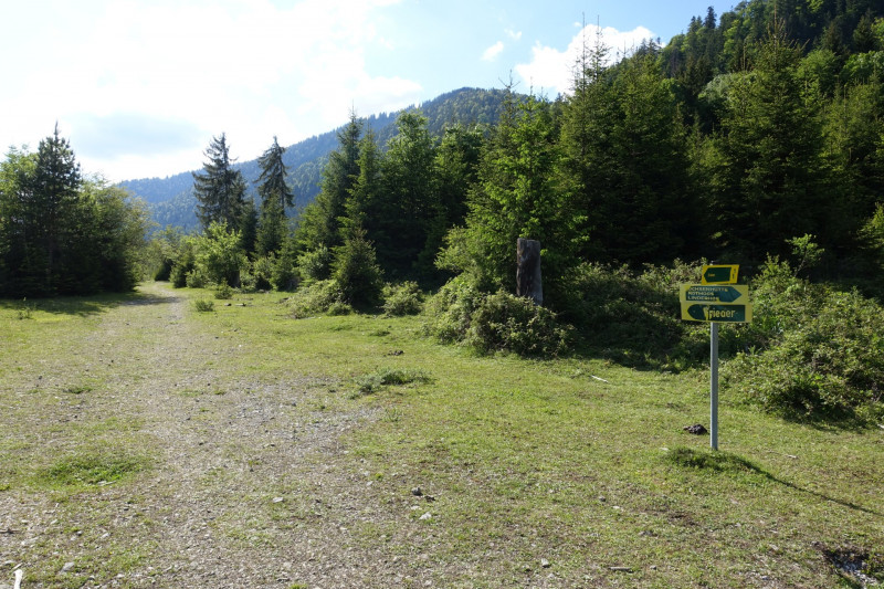 Ochsenhütte - Historischer Grenzstein - Frieder - Friederspitz - Lausbichl - Scharfeck