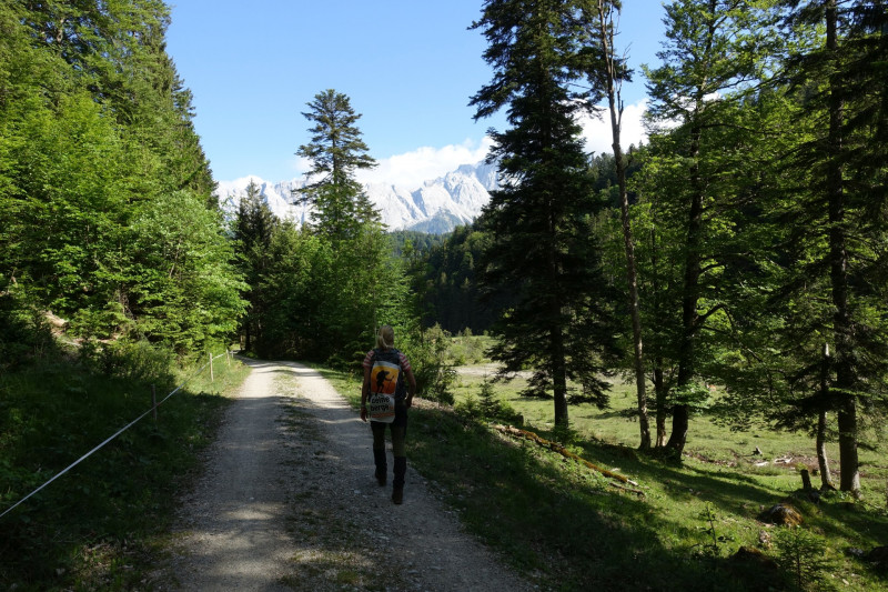 Ochsenhütte - Historischer Grenzstein - Frieder - Friederspitz - Lausbichl - Scharfeck