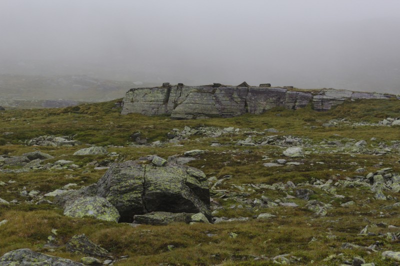 Odda - Mosdalsbu