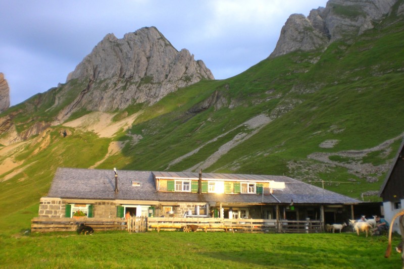hrlisattel