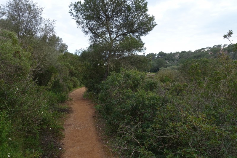 Parc natural de Mondrago