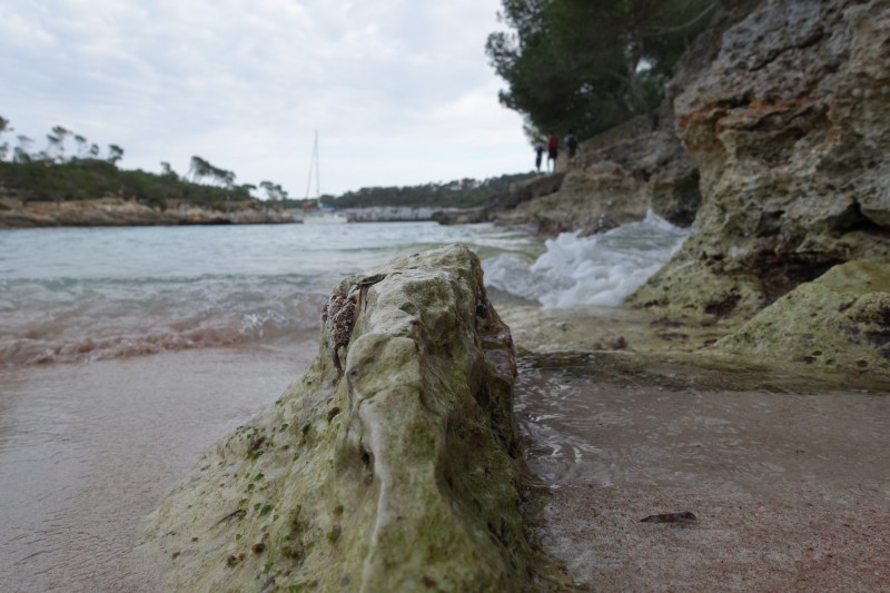 Parc natural de Mondrago