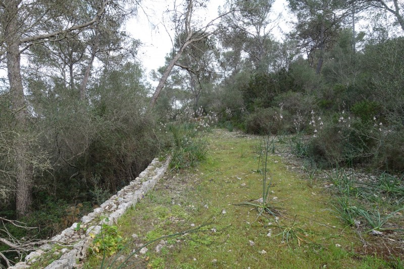 Parc natural de Mondrago