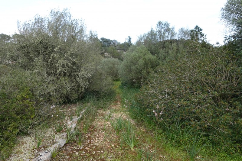 Parc natural de Mondrago