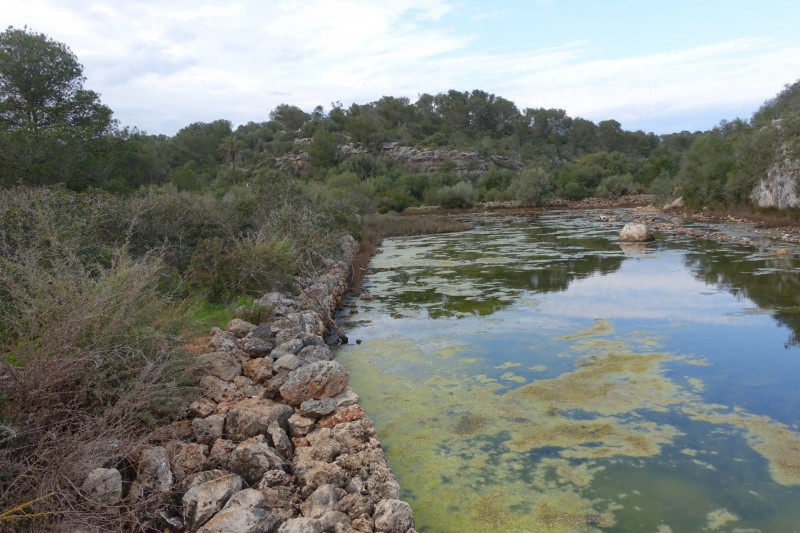 Parc natural de Mondrago