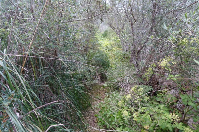 Parc natural de Mondrago