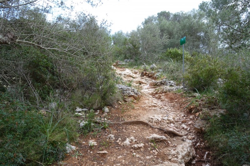 Parc natural de Mondrago