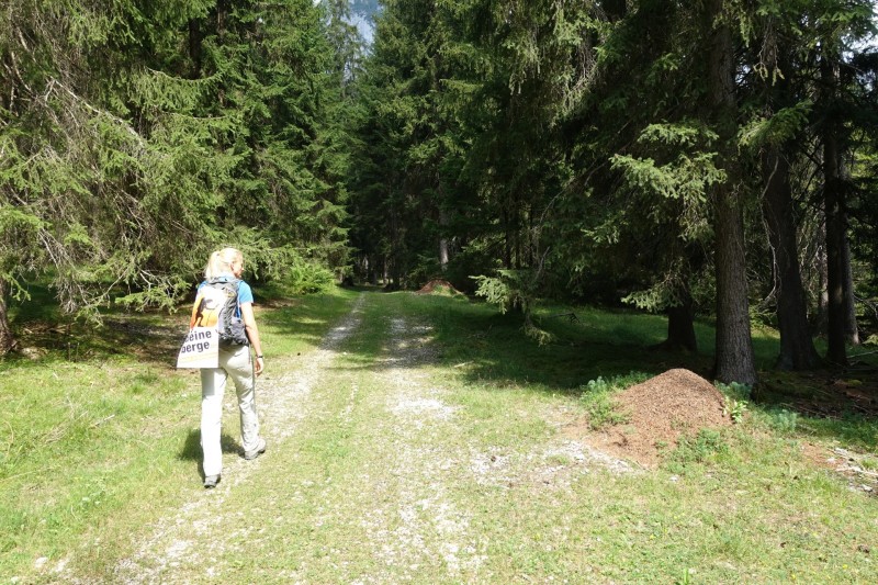 Parkplatz Puitbach - Rotmoosalm