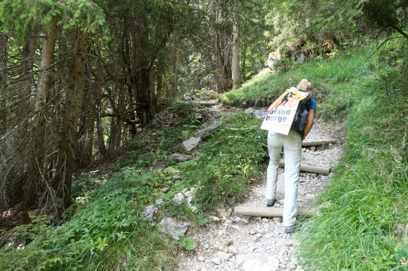 Parkplatz Puitbach - Rotmoosalm