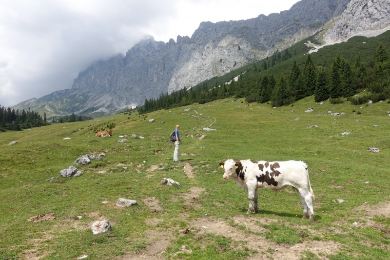 Parkplatz Puitbach - Rotmoosalm