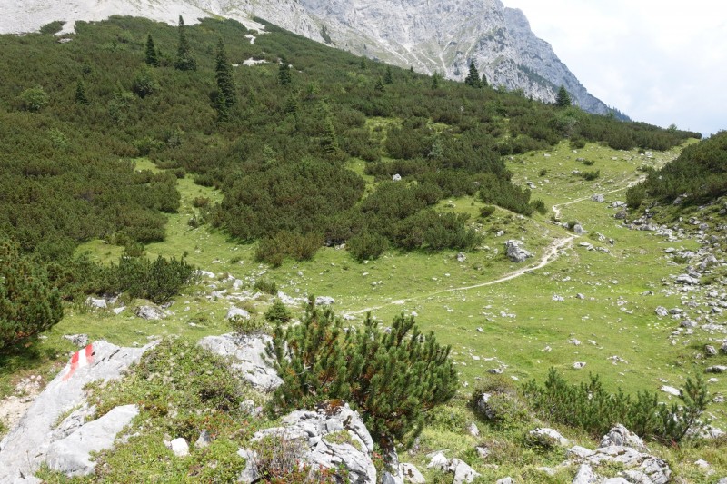 Parkplatz Puitbach - Rotmoosalm