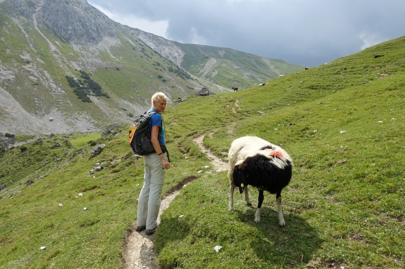 Parkplatz Puitbach - Rotmoosalm