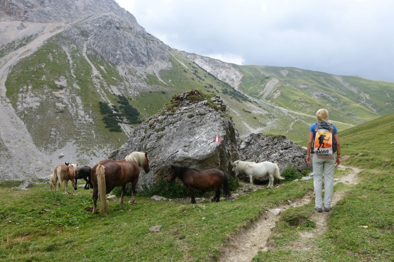 Parkplatz Puitbach - Rotmoosalm