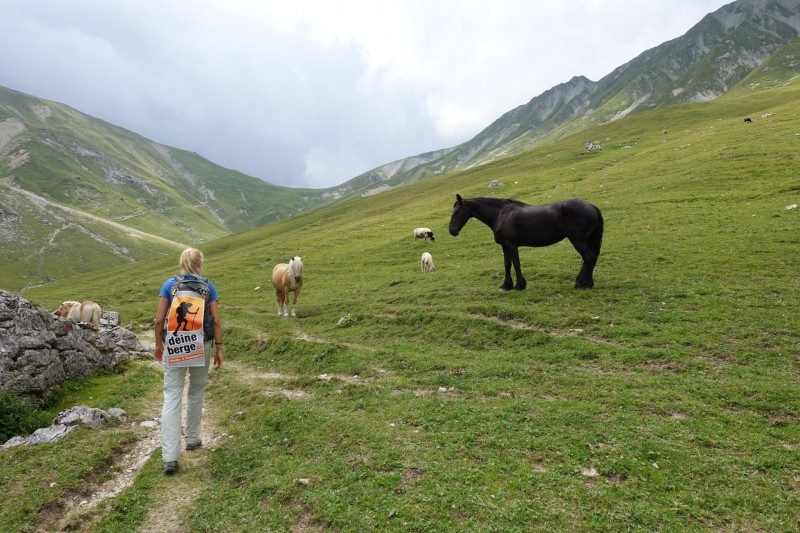 Parkplatz Puitbach - Rotmoosalm