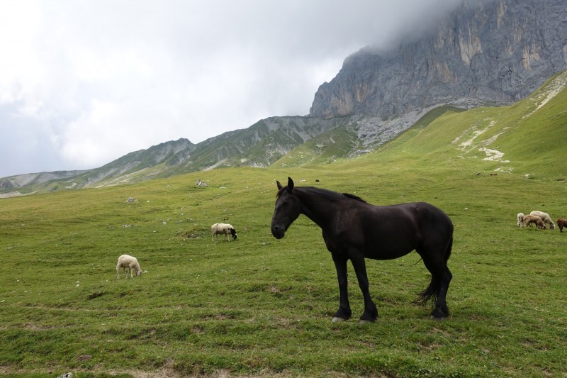 Parkplatz Puitbach - Rotmoosalm