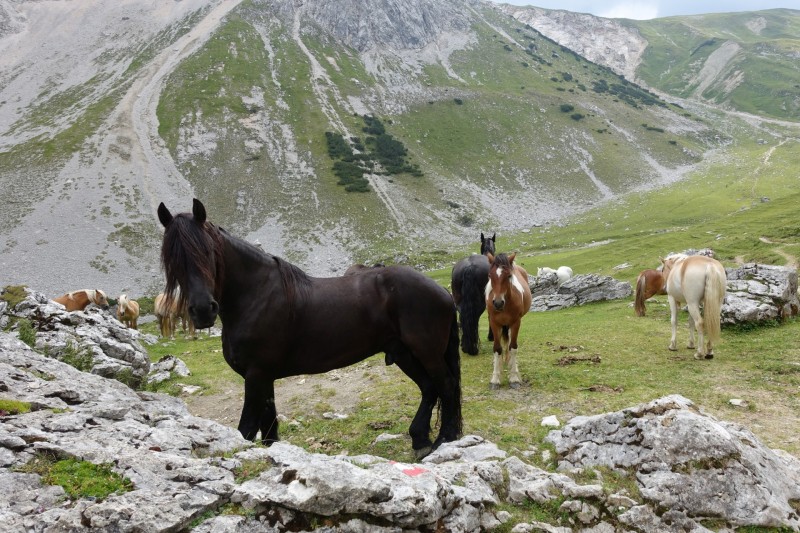 Parkplatz Puitbach - Rotmoosalm